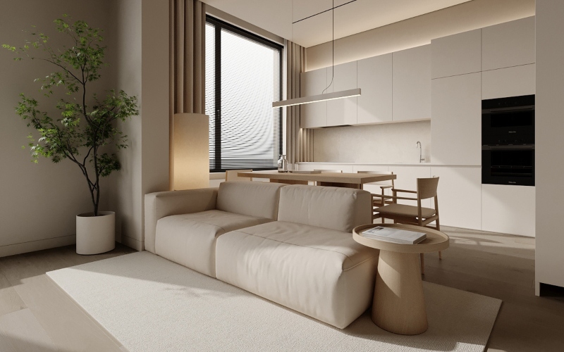 ერთიანი კონცეფცია