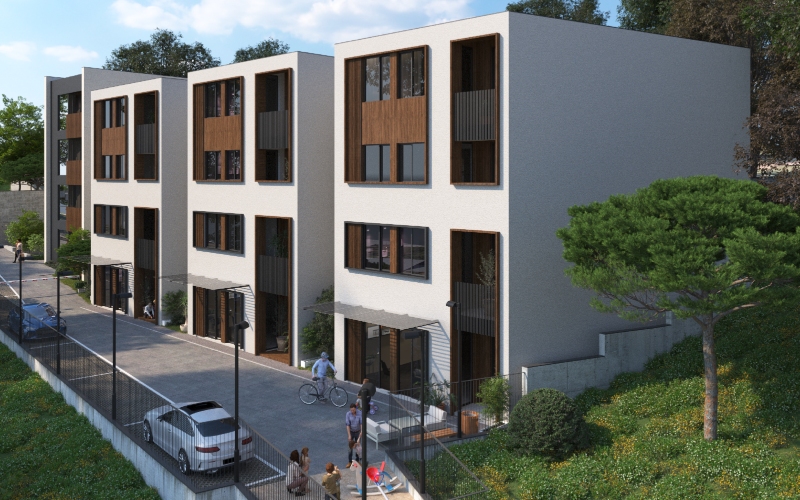 უბნების განვითარება